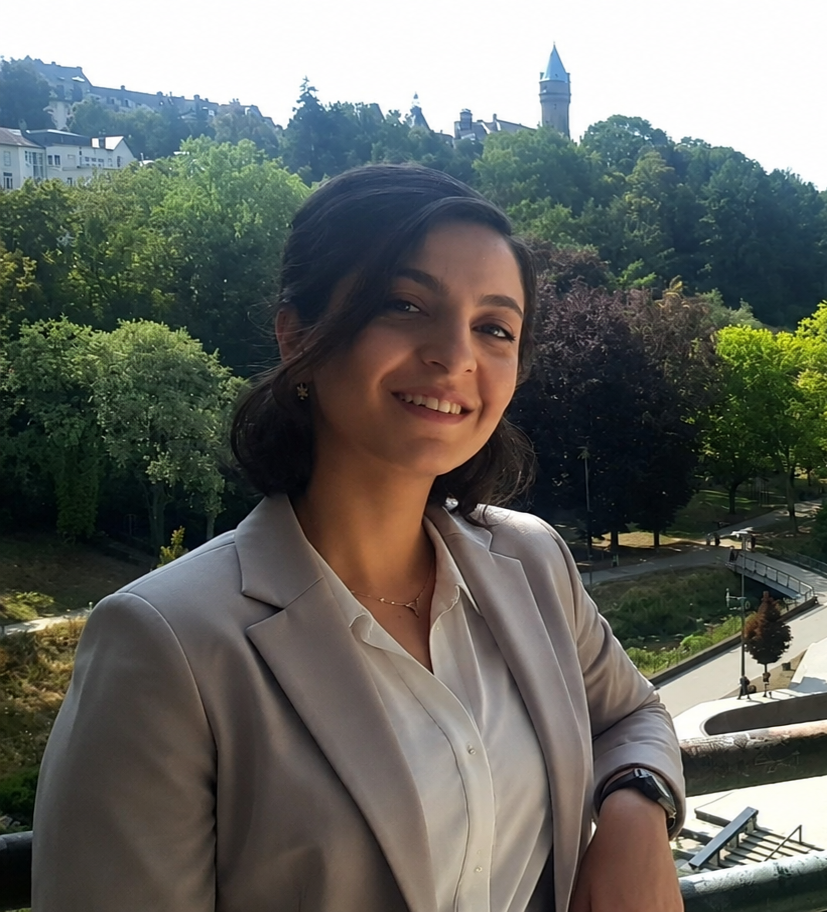 Afsaneh Talebizadeh Sardari